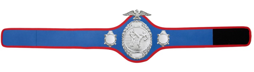 KICKBOXING CHAMPIONSHIP BELT-PRO288/S/KBOS - 10 COLOURS
